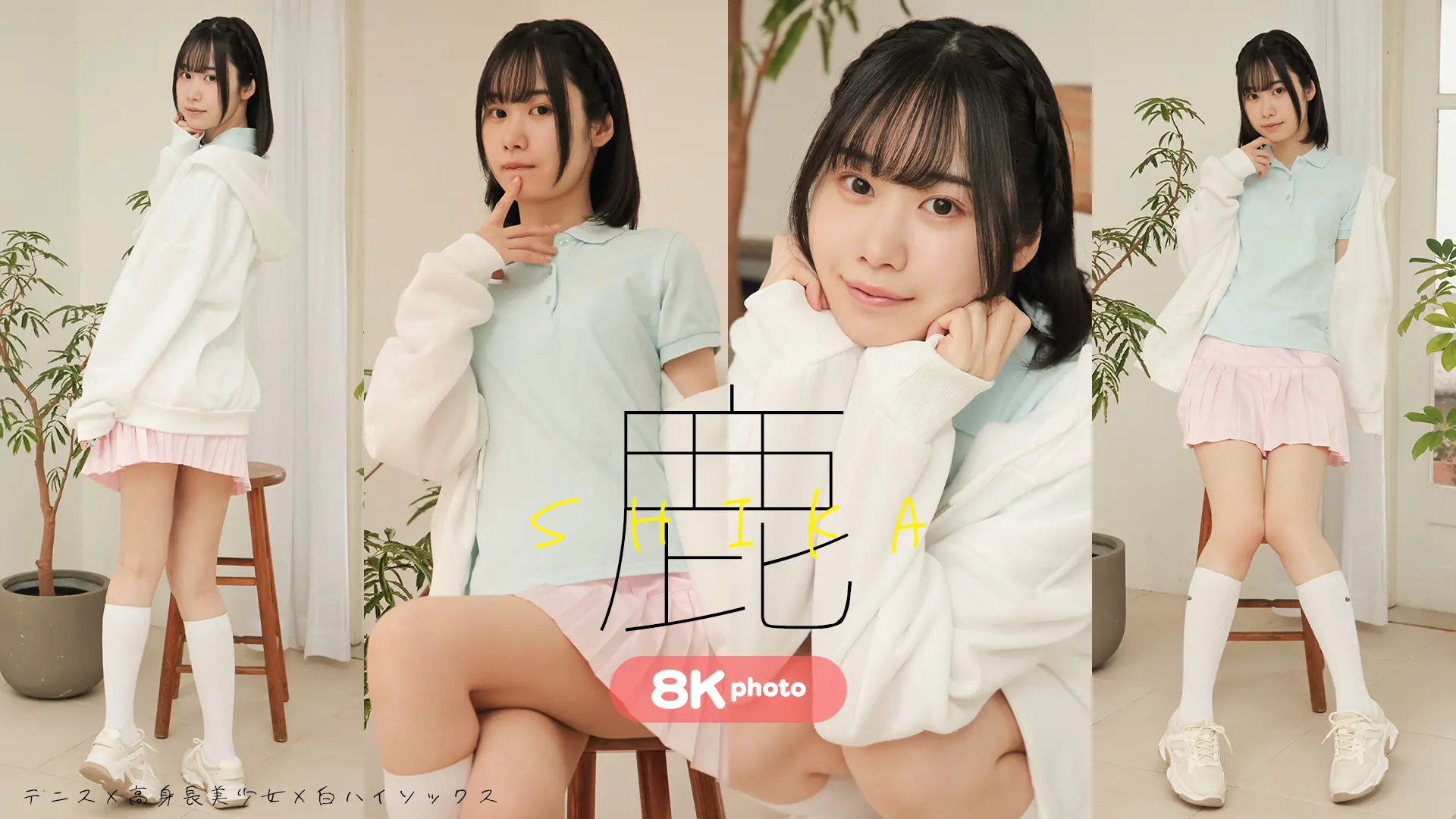 【8Kリマスター写真】鹿 テニス(月額見放題)